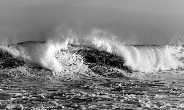 WILD WAVE IN BLACK AND WHITE